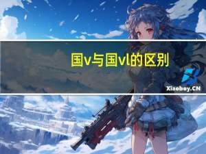 国v与国vl的区别（国v）