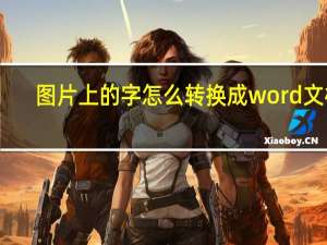 图片上的字怎么转换成word文档（图片上的字怎么转换成文字）