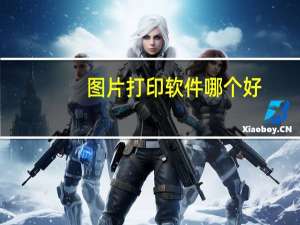 图片打印软件哪个好（图片打印软件哪个好）
