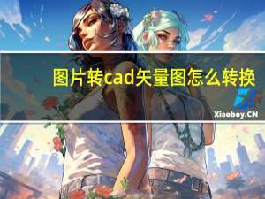 图片转cad矢量图怎么转换（图片转cad矢量图软件）