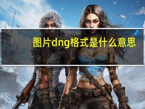 图片dng格式是什么意思（dng格式图片怎么打开）