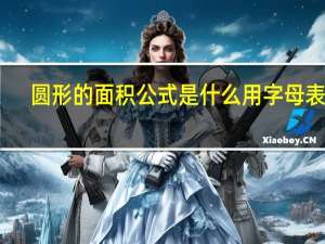 圆形的面积公式是什么用字母表示（圆形的面积公式）
