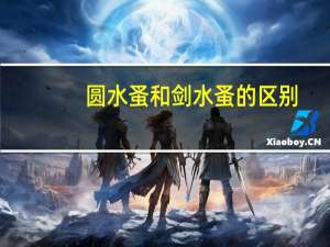 圆水蚤和剑水蚤的区别