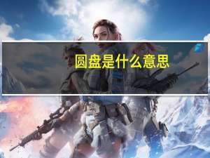 圆盘是什么意思