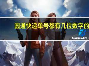 圆通快递单号都有几位数字的