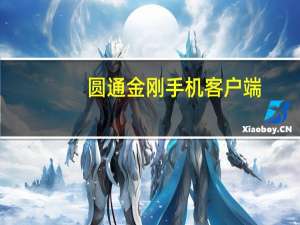 圆通金刚手机客户端（圆通金刚系统核心营运）