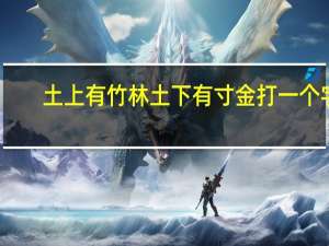 土上有竹林土下有寸金打一个字（土上有竹林土下一寸金）