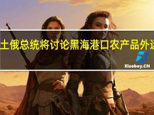 土俄总统将讨论黑海港口农产品外运协议