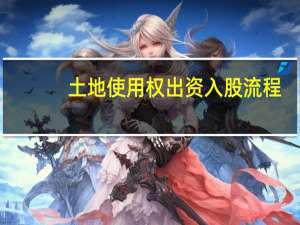 土地使用权出资入股流程