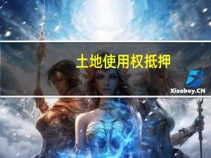 土地使用权抵押