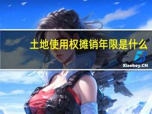 土地使用权摊销年限是什么