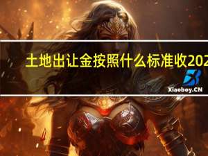 土地出让金按照什么标准收2021