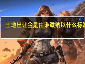 土地出让金是由谁缴纳以什么标准收（土地出让金是由谁缴纳）