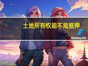 土地所有权能不能抵押