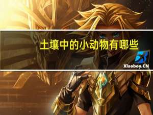 土壤中的小动物有哪些