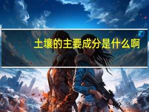 土壤的主要成分是什么啊
