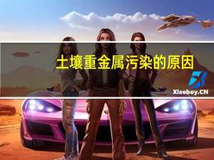 土壤重金属污染的原因