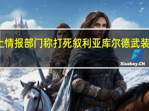 土情报部门称打死叙利亚库尔德武装领导人