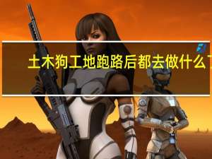 土木狗工地跑路后都去做什么了