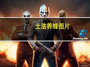 土法养蜂图片（土法继箱养蜂视频）