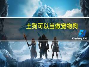 土狗可以当做宠物狗