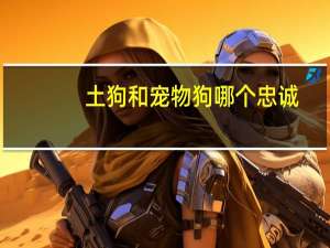 土狗和宠物狗哪个忠诚