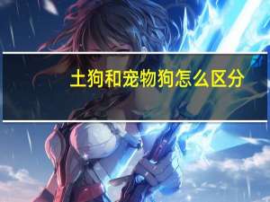土狗和宠物狗怎么区分
