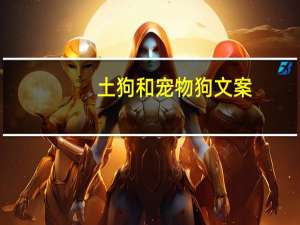 土狗和宠物狗文案
