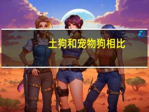 土狗和宠物狗相比