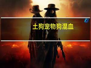 土狗宠物狗混血