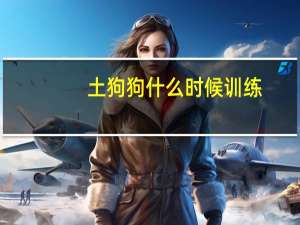 土狗狗什么时候训练