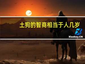 土狗的智商相当于人几岁（土狗的智商）