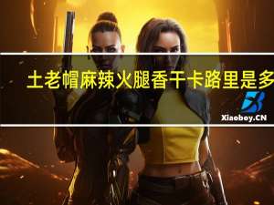 土老帽 麻辣火腿香干卡路里是多少