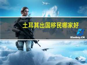 土耳其出国移民哪家好