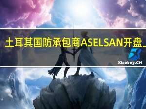 土耳其国防承包商ASELSAN开盘上涨1.7%