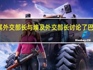 土耳其外交部长与埃及外交部长讨论了巴以冲突问题