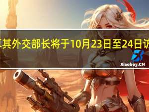 土耳其外交部长将于10月23日至24日访问阿联酋