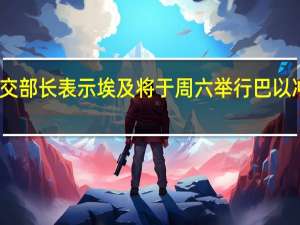 土耳其外交部长表示埃及将于周六举行巴以冲突领导人峰会
