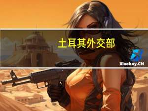 土耳其外交部：强烈谴责以色列和巴勒斯坦之间的冲突造成的平民伤亡