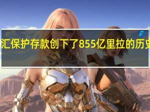 土耳其外汇保护存款创下了855亿里拉的历史最高流出记录