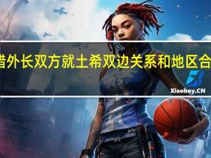 土耳其外长会见希腊外长 双方就土希双边关系和地区合作等议题进行磋商和讨论