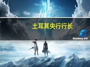 土耳其央行行长：紧缩政策和外汇储备增长支持了外汇汇率
