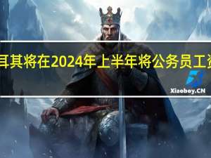土耳其将在2024年上半年将公务员工资提高15%