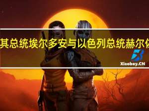 土耳其总统埃尔多安与以色列总统赫尔佐格通电话
