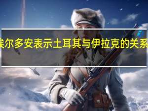 土耳其总统埃尔多安表示土耳其与伊拉克的关系正在取得积极进展
