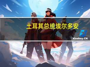 土耳其总统埃尔多安：各央行的对话对于本地货币贸易至关重要