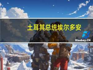 土耳其总统埃尔多安：土耳其将再次将通胀率降至个位数