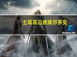 土耳其总统埃尔多安：土耳其担心中东冲突的蔓延