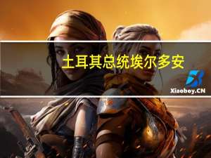 土耳其总统埃尔多安：敦促零售商降低商品售价将向每位退休金领取者一次性发放5000里拉