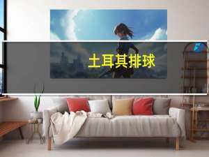 土耳其排球（关于土耳其排球的介绍）